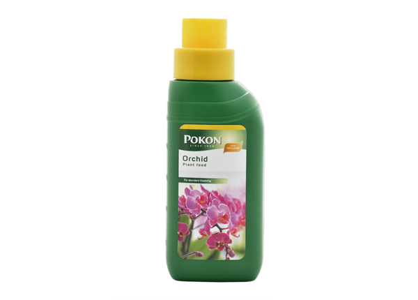 Pokon Orchid Plant Food