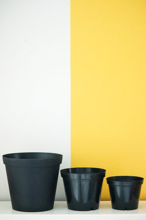 Black Plastic Pot