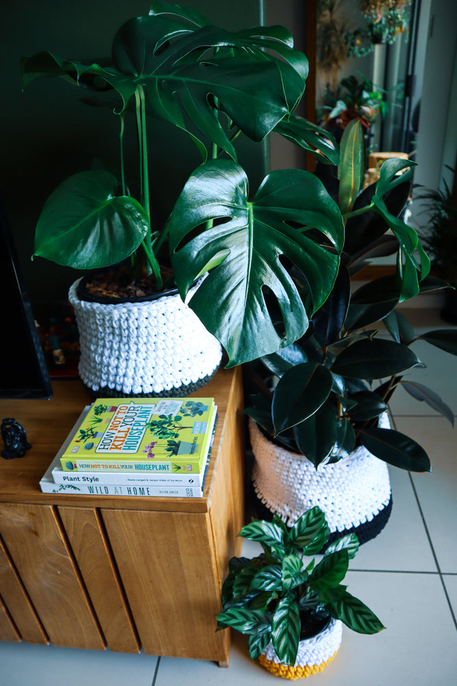 Crochet Pot Socks