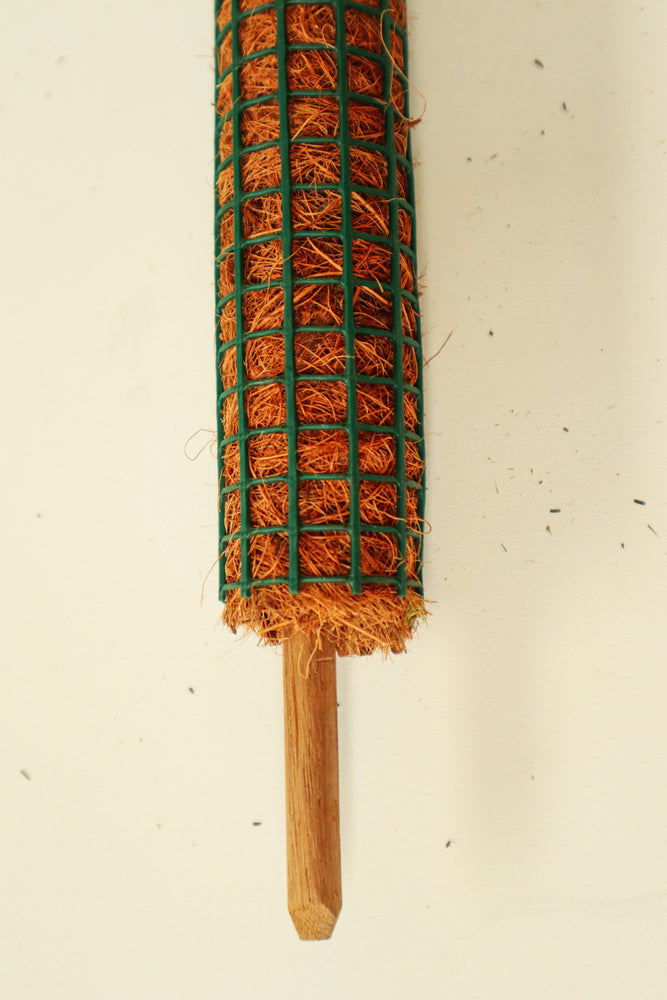 Mesh Coco Coir Pole