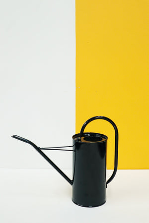 Good Roots Indoor Watering Can