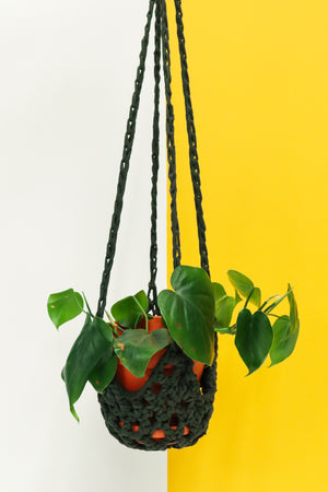 Plant Hammock