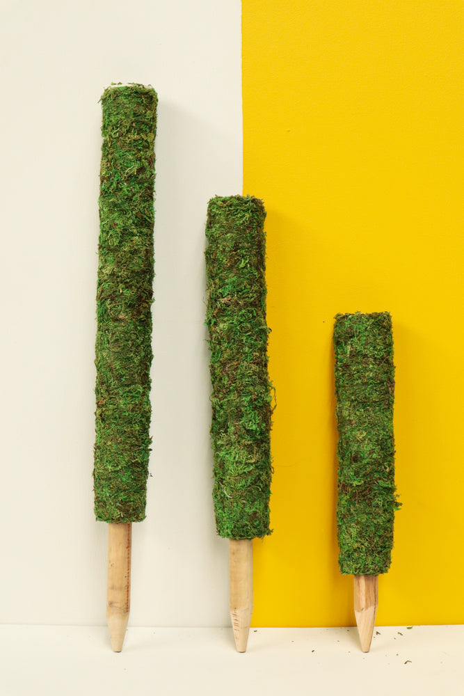 Moss Pole