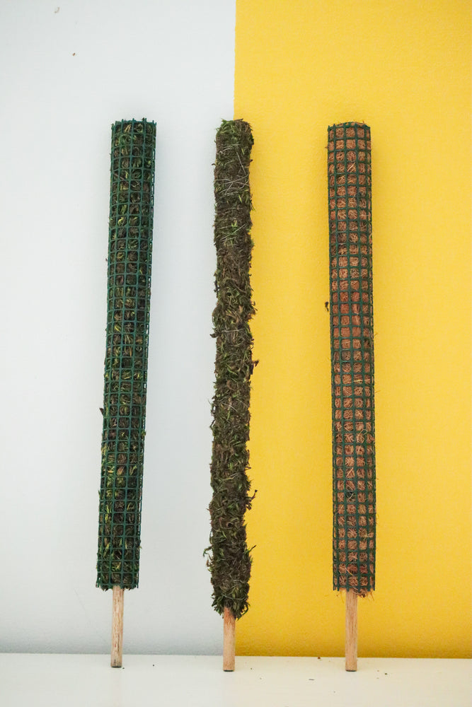 Mesh Coco Coir Pole