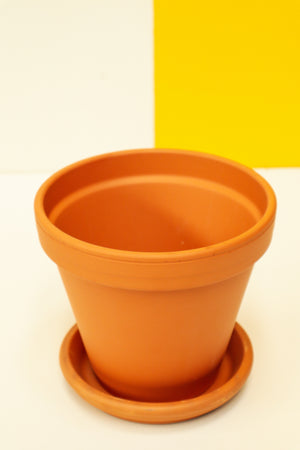 Terracotta Saucers